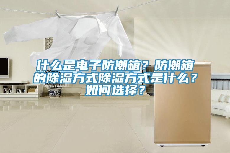 什么是电子防潮箱？防潮箱的除湿方式除湿方式是什么？如何选择？