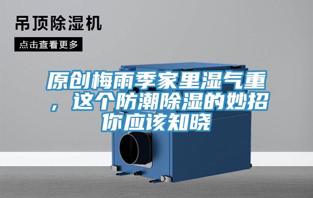 原创梅雨季家里湿气重，这个防潮除湿的妙招你应该知晓