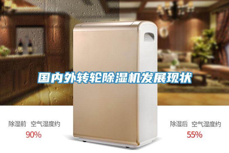 国内外转轮MR.好色破解版发展现状