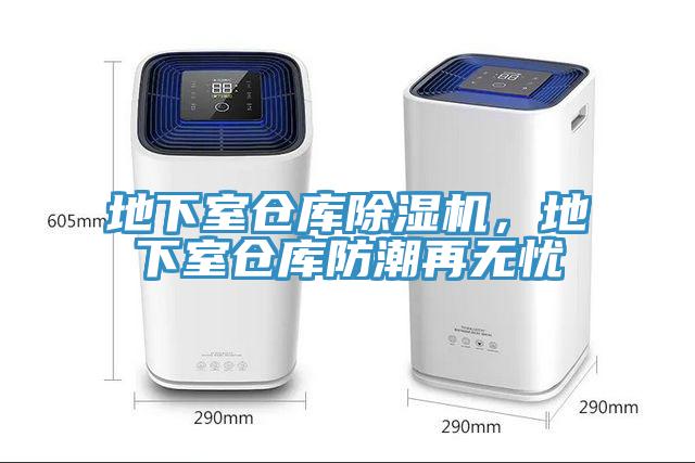 地下室仓库MR.好色破解版，地下室仓库防潮再无忧