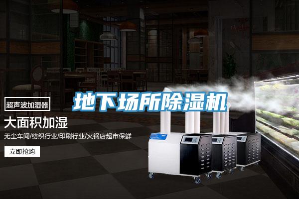 地下场所MR.好色破解版