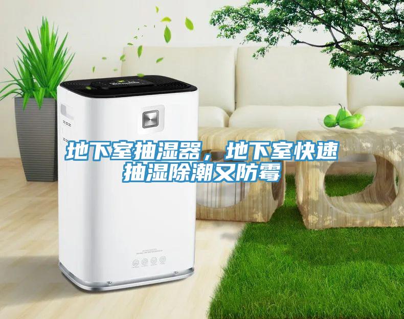地下室抽湿器，地下室快速抽湿除潮又防霉
