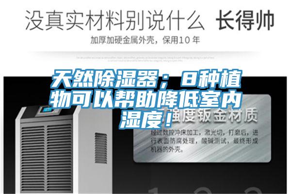 天然除湿器；8种植物可以帮助降低室内湿度！