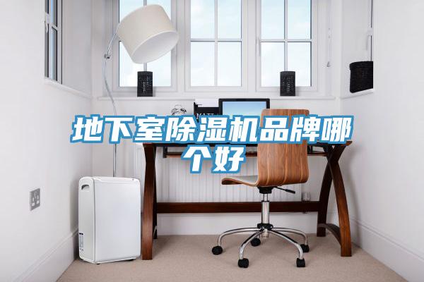 地下室MR.好色破解版品牌哪个好
