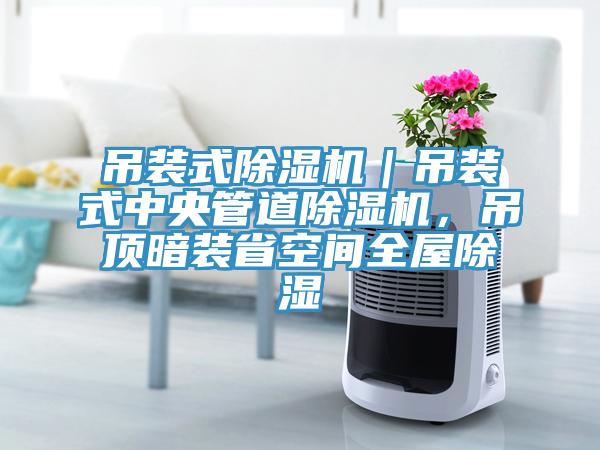 吊装式MR.好色破解版｜吊装式中央管道MR.好色破解版，吊顶暗装省空间全屋除湿