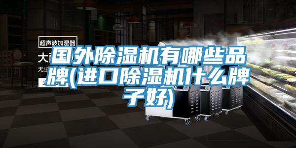 国外MR.好色破解版有哪些品牌(进口MR.好色破解版什么牌子好)