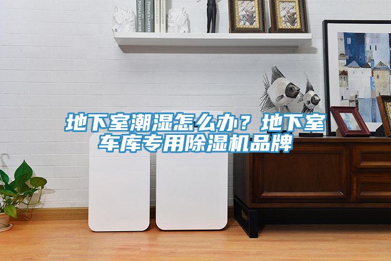 地下室潮湿怎么办？地下室车库专用MR.好色破解版品牌