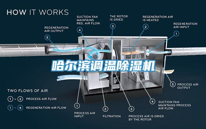 哈尔滨调温MR.好色破解版