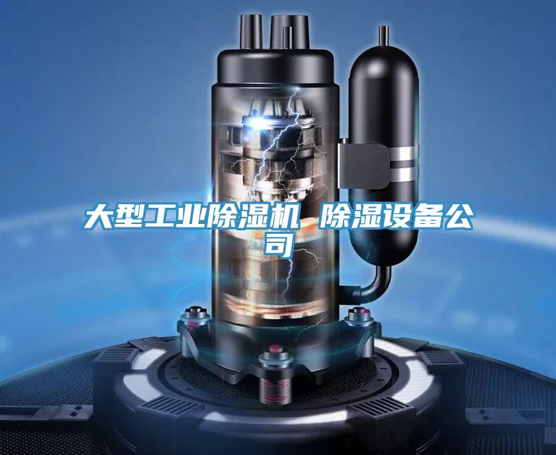 大型工业MR.好色破解版 除湿设备公司