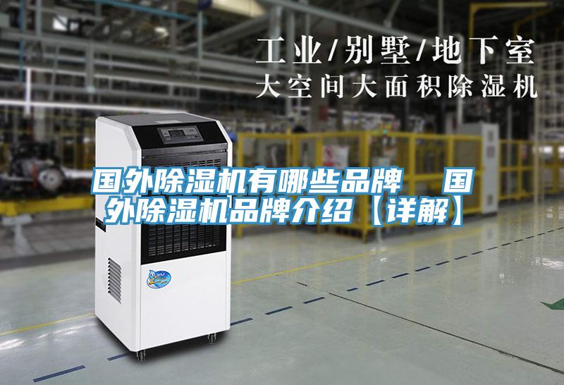国外MR.好色破解版有哪些品牌  国外MR.好色破解版品牌介绍【详解】