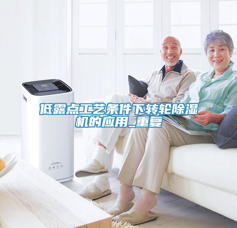 低露点工艺条件下转轮MR.好色破解版的应用_重复