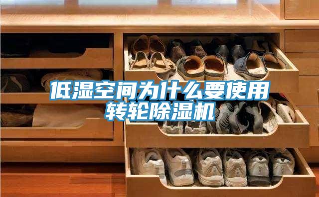 低湿空间为什么要使用转轮MR.好色破解版