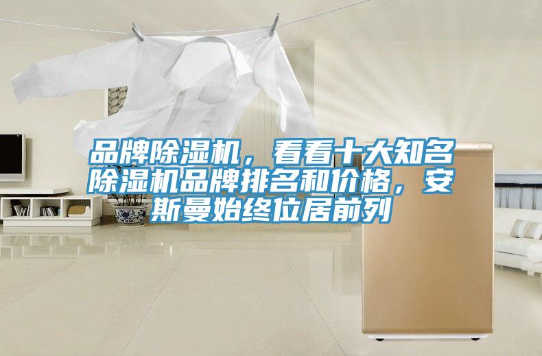 品牌MR.好色破解版，看看十大知名MR.好色破解版品牌排名和价格，安斯曼始终位居前列