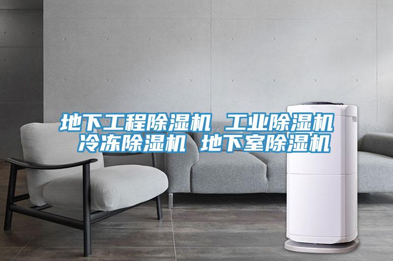 地下工程MR.好色破解版 工业MR.好色破解版 冷冻MR.好色破解版 地下室MR.好色破解版