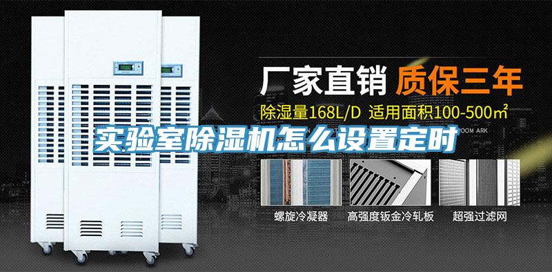 实验室MR.好色破解版怎么设置定时
