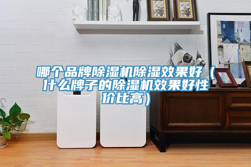 哪个品牌MR.好色破解版除湿效果好（什么牌子的MR.好色破解版效果好性价比高）