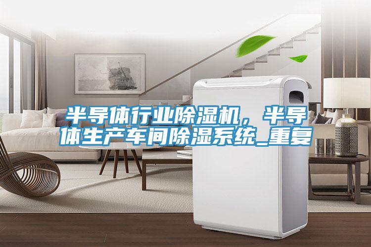 半导体行业MR.好色破解版，半导体生产车间除湿系统_重复