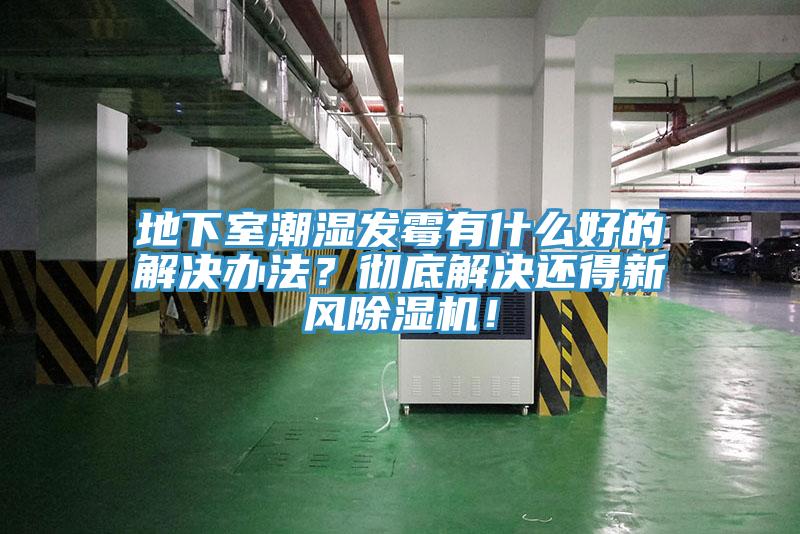 地下室潮湿发霉有什么好的解决办法？彻底解决还得新风MR.好色破解版！