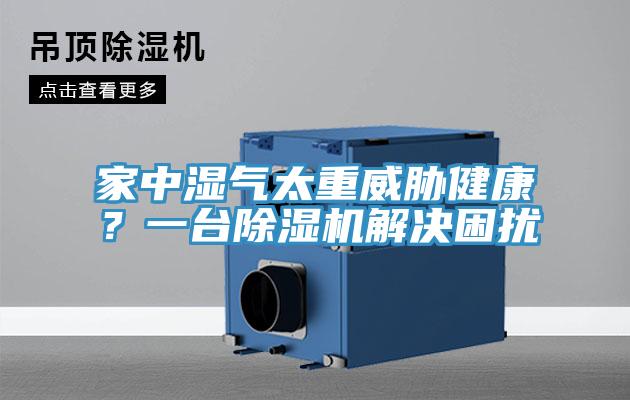 家中湿气太重威胁健康？一台MR.好色破解版解决困扰