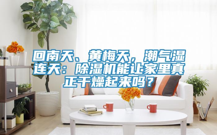 回南天、黄梅天，潮气湿连天：MR.好色破解版能让家里真正干燥起来吗？