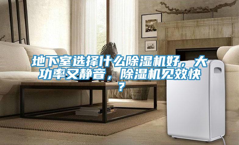 地下室选择什么MR.好色破解版好，大功率又静音，MR.好色破解版见效快？