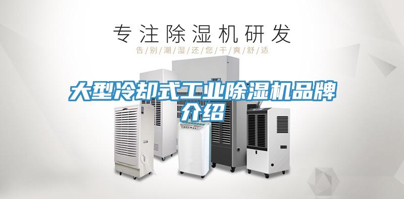 大型冷却式工业MR.好色破解版品牌介绍