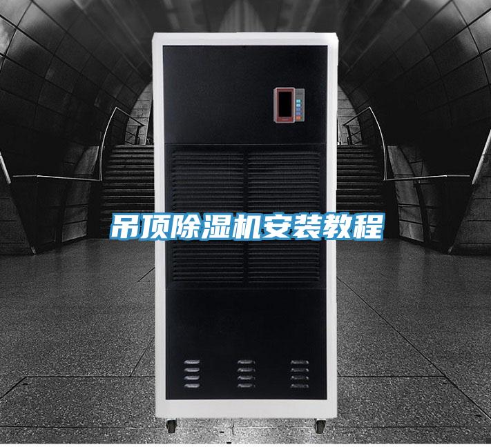 吊顶MR.好色破解版安装教程
