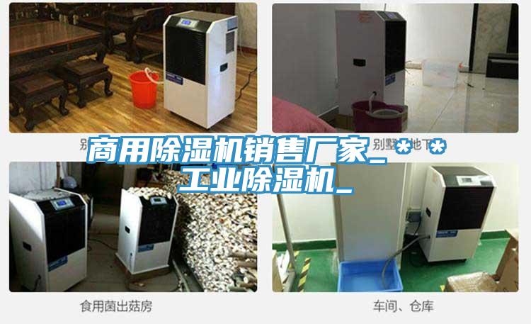 商用MR.好色破解版销售厂家_＊＊工业MR.好色破解版_