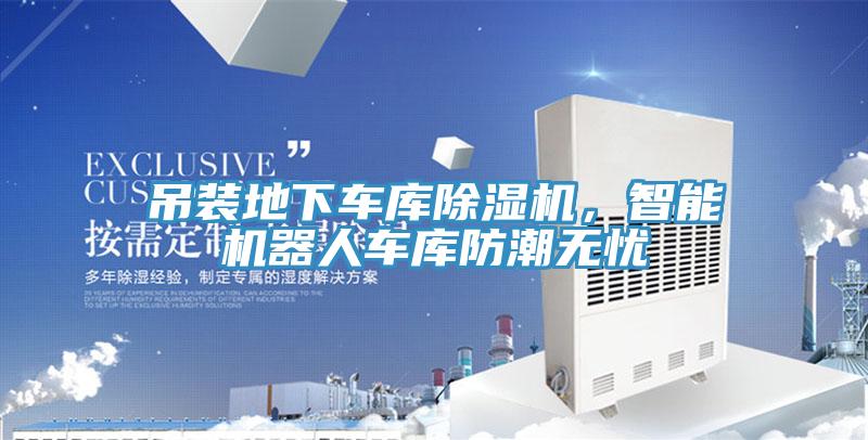 吊装地下车库MR.好色破解版，智能机器人车库防潮无忧