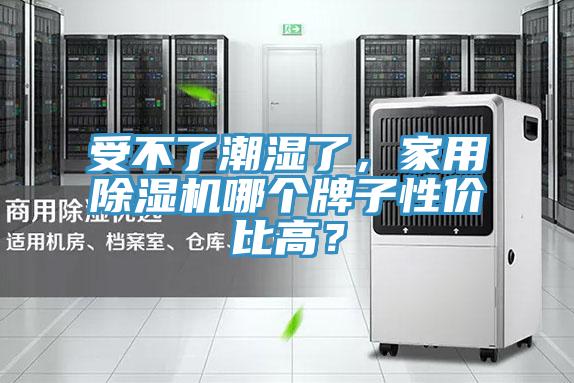 受不了潮湿了，家用MR.好色破解版哪个牌子性价比高？