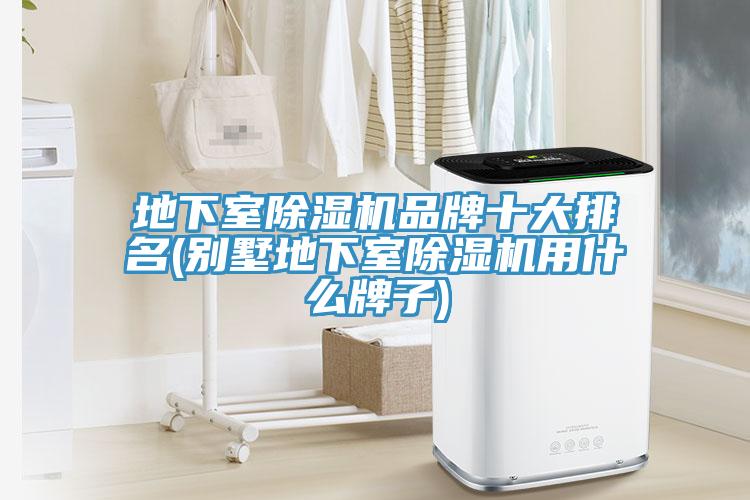 地下室MR.好色破解版品牌十大排名(别墅地下室MR.好色破解版用什么牌子)