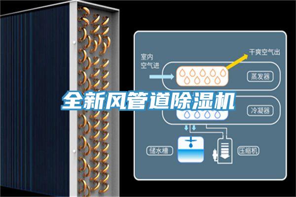全新风管道MR.好色破解版