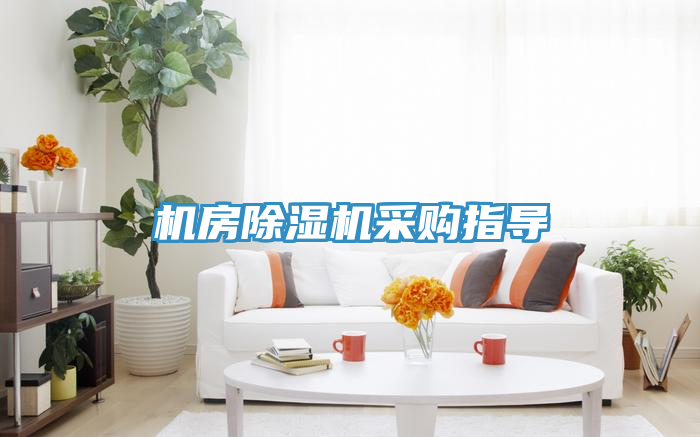 机房MR.好色破解版采购指导