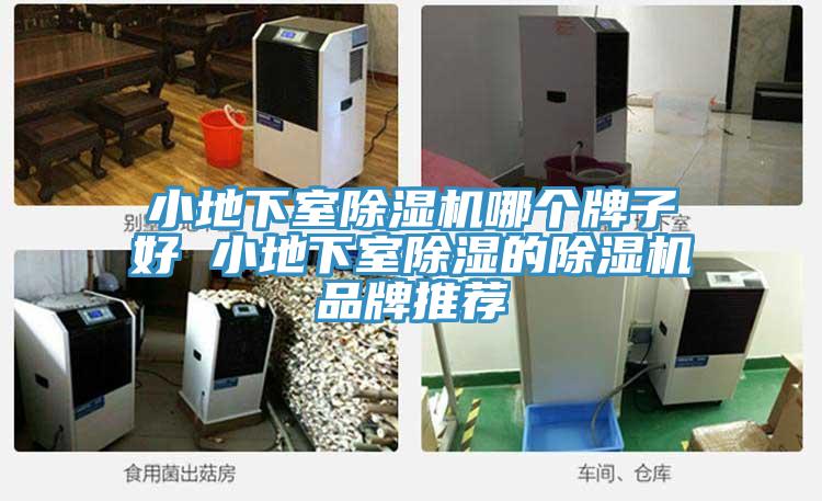 小地下室MR.好色破解版哪个牌子好 小地下室除湿的MR.好色破解版品牌推荐