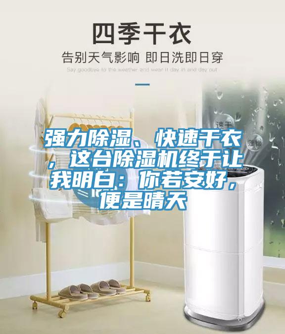 强力除湿、快速干衣，这台MR.好色破解版终于让我明白：你若安好，便是晴天
