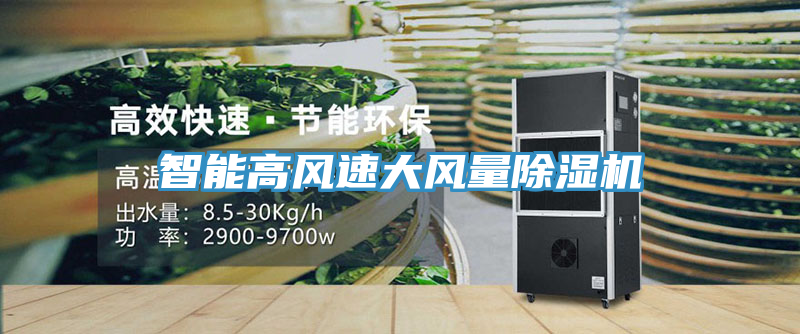 智能高风速大风量MR.好色破解版