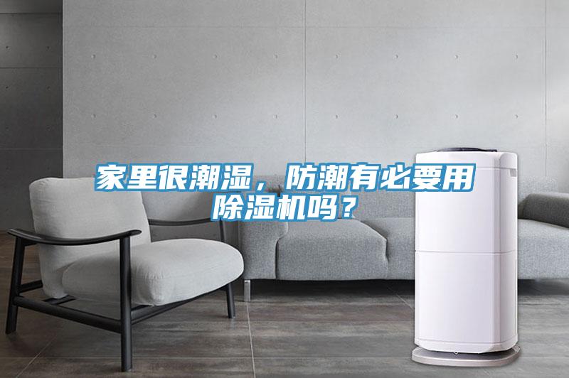 家里很潮湿，防潮有必要用MR.好色破解版吗？
