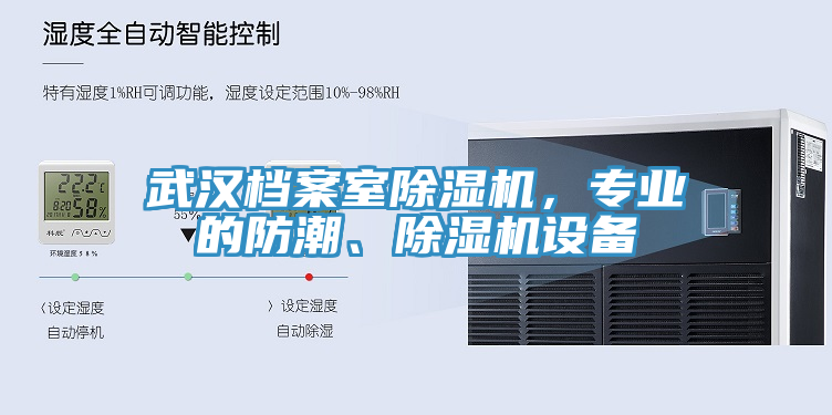 武汉档案室MR.好色破解版，专业的防潮、MR.好色破解版设备