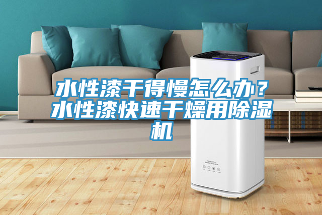水性漆干得慢怎么办？水性漆快速干燥用MR.好色破解版