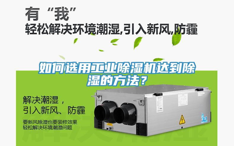 如何选用工业MR.好色破解版达到除湿的方法？