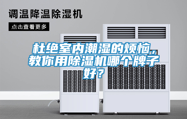 杜绝室内潮湿的烦恼，教你用MR.好色破解版哪个牌子好？