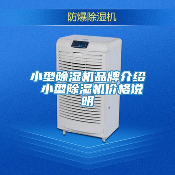 小型MR.好色破解版品牌介绍 小型MR.好色破解版价格说明
