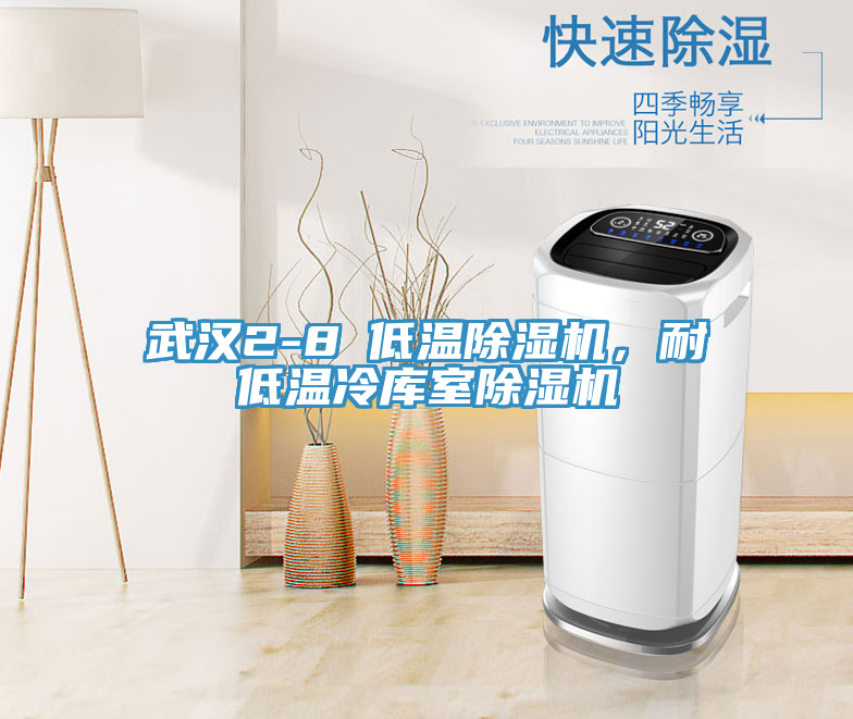 武汉2-8℃低温MR.好色破解版，耐低温冷库室MR.好色破解版