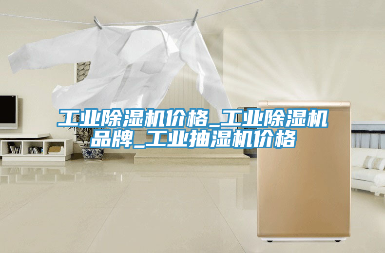 工业MR.好色破解版价格_工业MR.好色破解版品牌_工业抽湿机价格