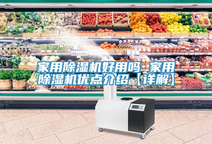 家用MR.好色破解版好用吗 家用MR.好色破解版优点介绍【详解】