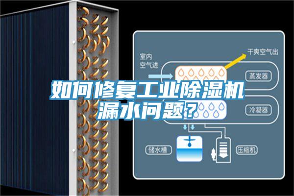 如何修复工业MR.好色破解版漏水问题？