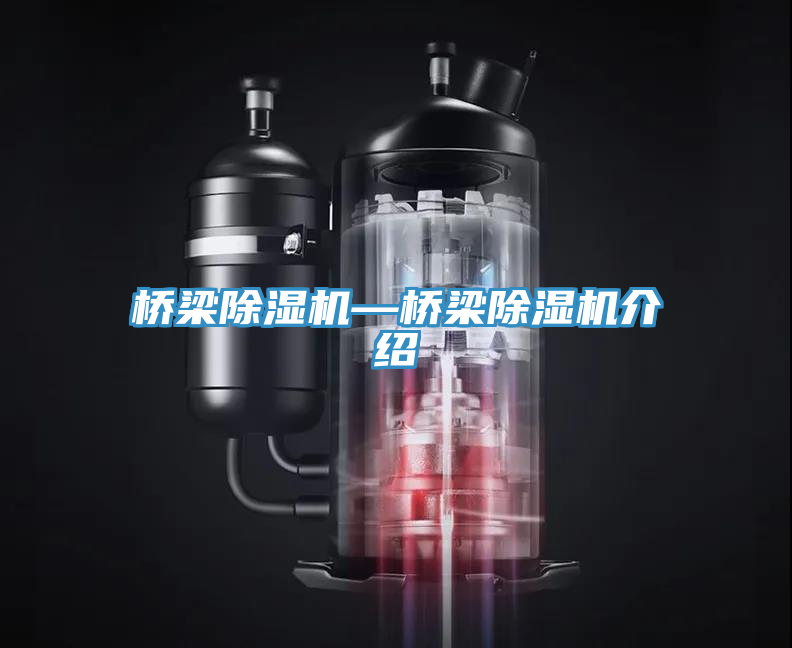 桥梁MR.好色破解版—桥梁MR.好色破解版介绍