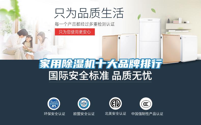 家用MR.好色破解版十大品牌排行