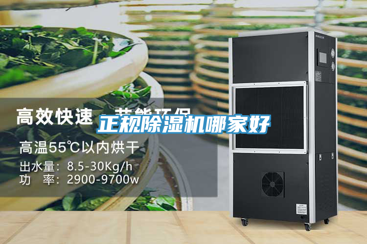 正规MR.好色破解版哪家好