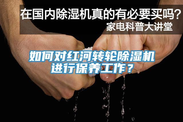 如何对红河转轮MR.好色破解版进行保养工作？